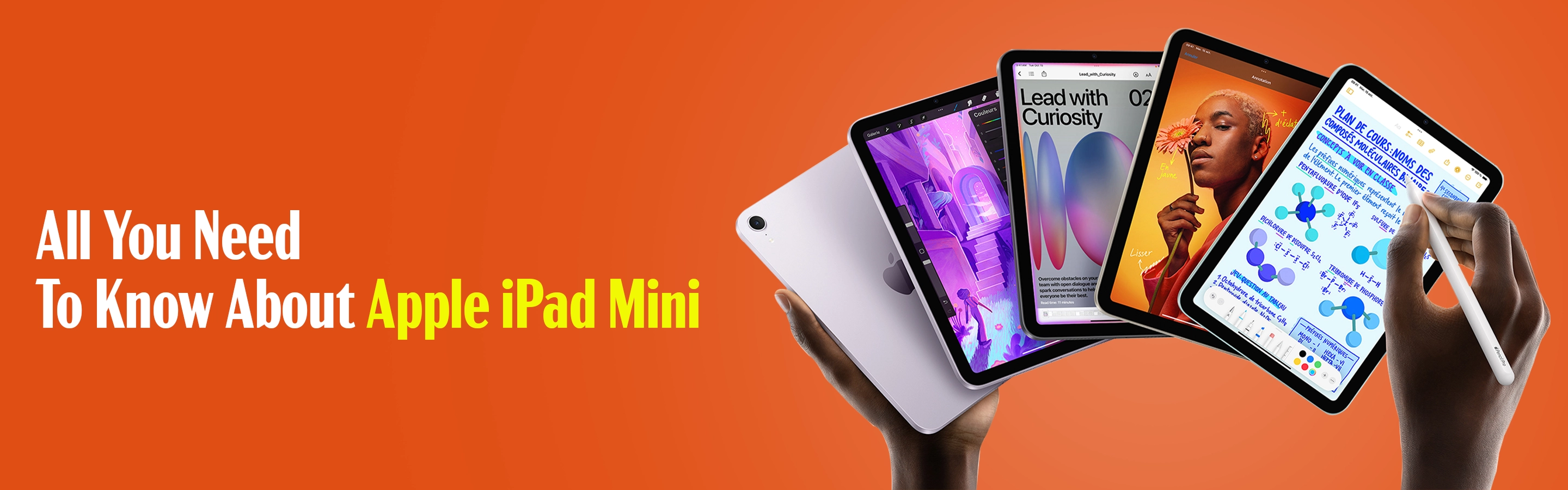 All You Need To Know About Apple iPad Mini